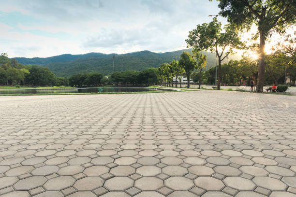 Best Driveway Paver Repair  in USA